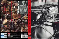 TNH 021