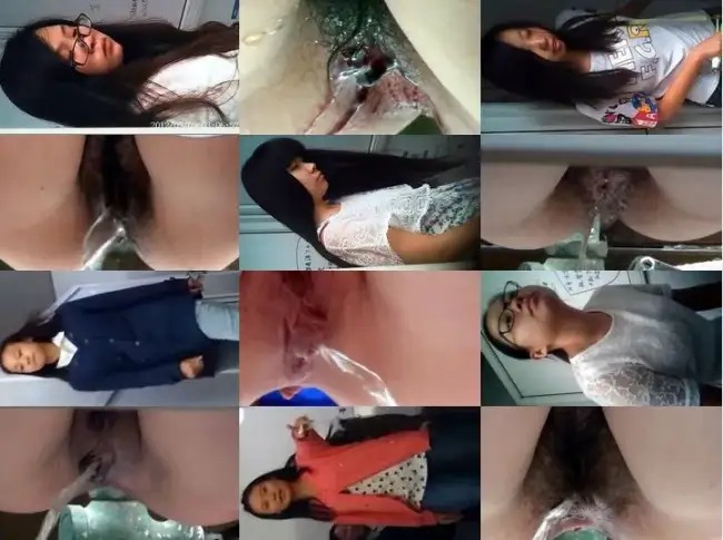 15263587