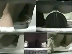 15340127