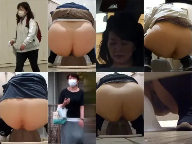 JapToilet239
