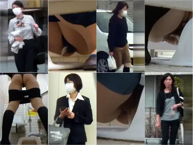 JapToilet240