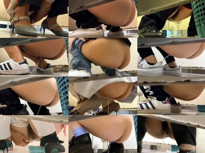 Partition Public Women Toilet