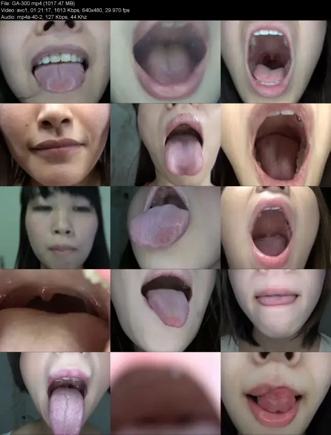 GA 300 1
