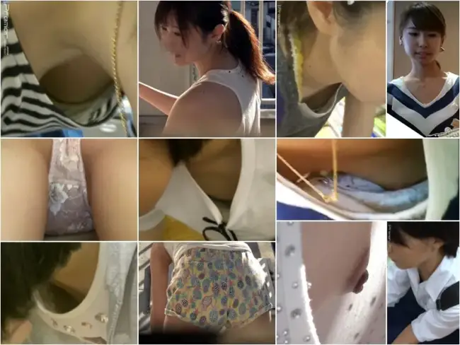 Downbluse 231