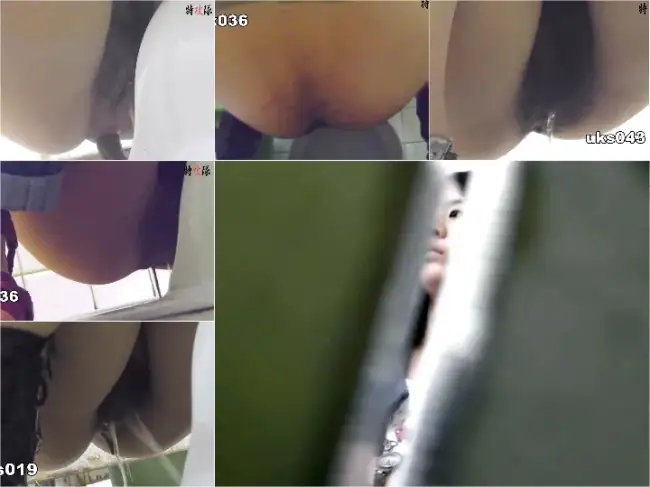 28104194