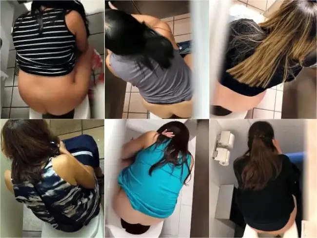 Public Toilet Stall Pooping