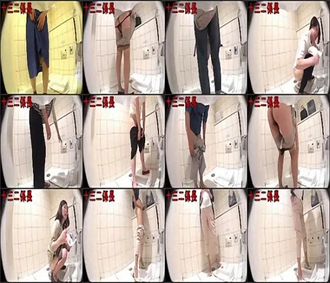 Spy Camera 意識高い系のおトイレ 3 15人登場