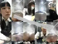 15395728
