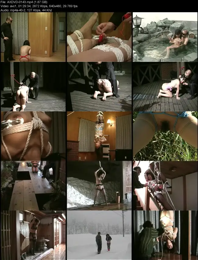 AXDVD 0143 1
