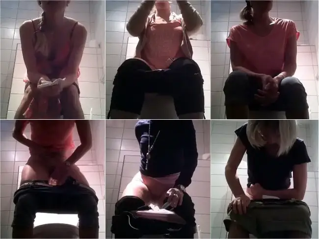 Swiss Toilet 7