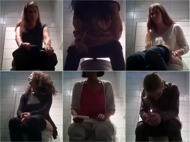 Swiss Toilet 9