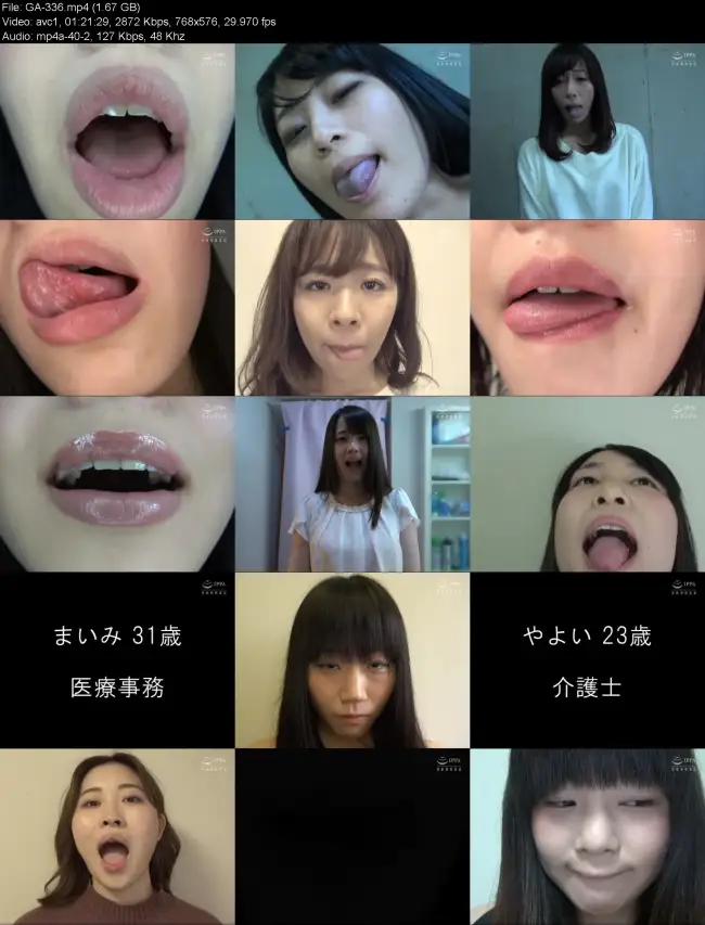 GA 336 1