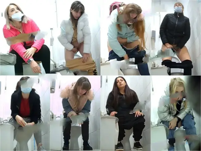 Shopping Center Toilet 12a