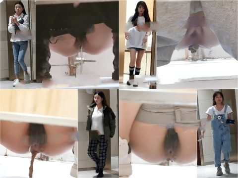 digicamcontrol China Toilet Voyeur sifangktv 1172