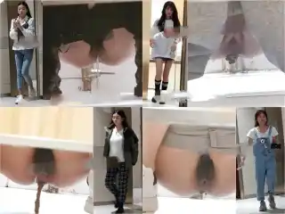 digicamcontrol China Toilet Voyeur sifangktv 1172