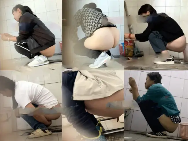 Handheld Toilet Filming 3
