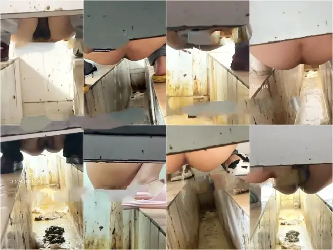 Female hand groove dry toilet 11th 3