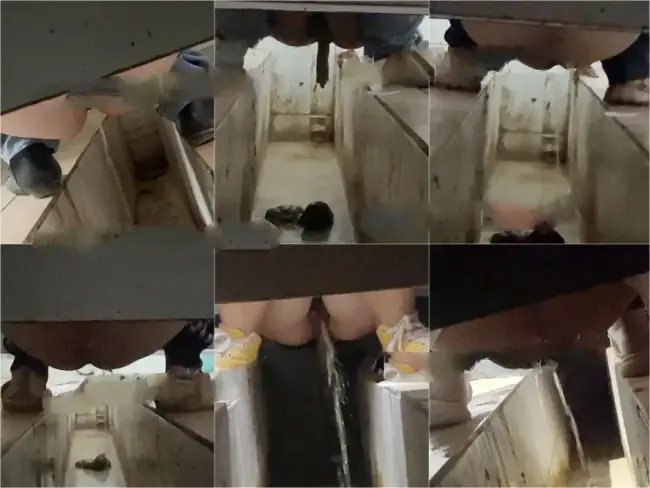 Female hand groove dry toilet 6th 1