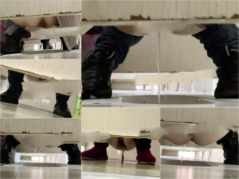Hidden Camera 【重口厕拍】女拍手沟式旱厕偷拍-满屏大便 拉稀第23期64V[某房原版]