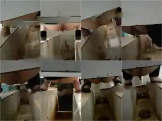 Hidden Camera 【重口厕拍】女拍手沟式旱厕偷拍-满屏大便 拉稀第27期88V[某房原版]