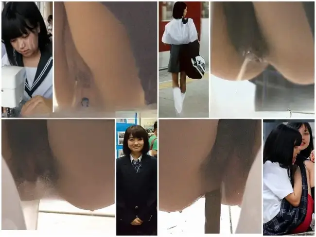 15037537