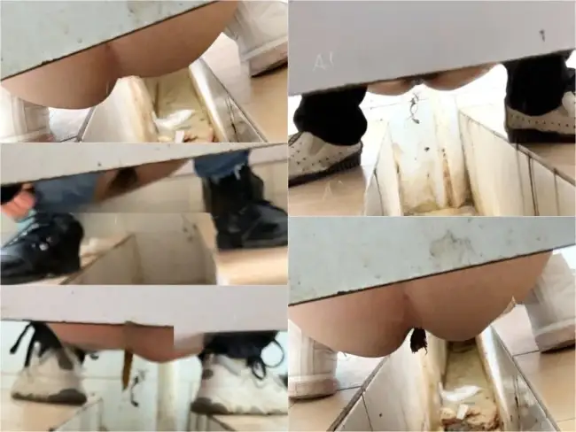 Female hand groove dry toilet 2