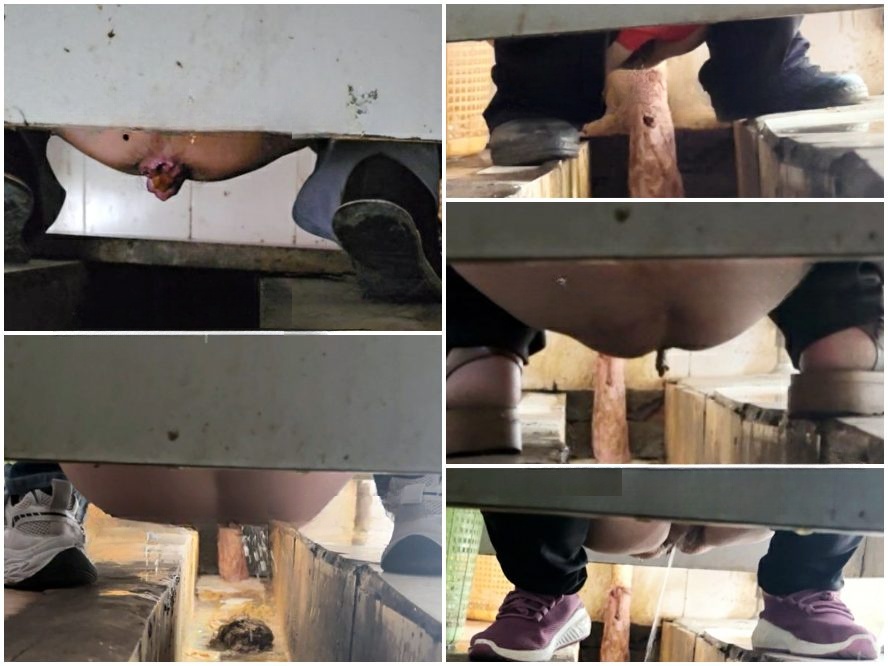 Girls on the Toilet [過激／トイレ隠し撮り] 女性POV：和式・汲み取り式トイレの隠しカメラ – 画面いっぱいの糞便と下痢 …