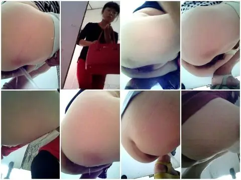 Girls on the Toilet 10年以上前に撮影された、昔ながらの紫苑華新住宅街にある公衆トイレの裏側の写真。[ある家主によるオリジナ…