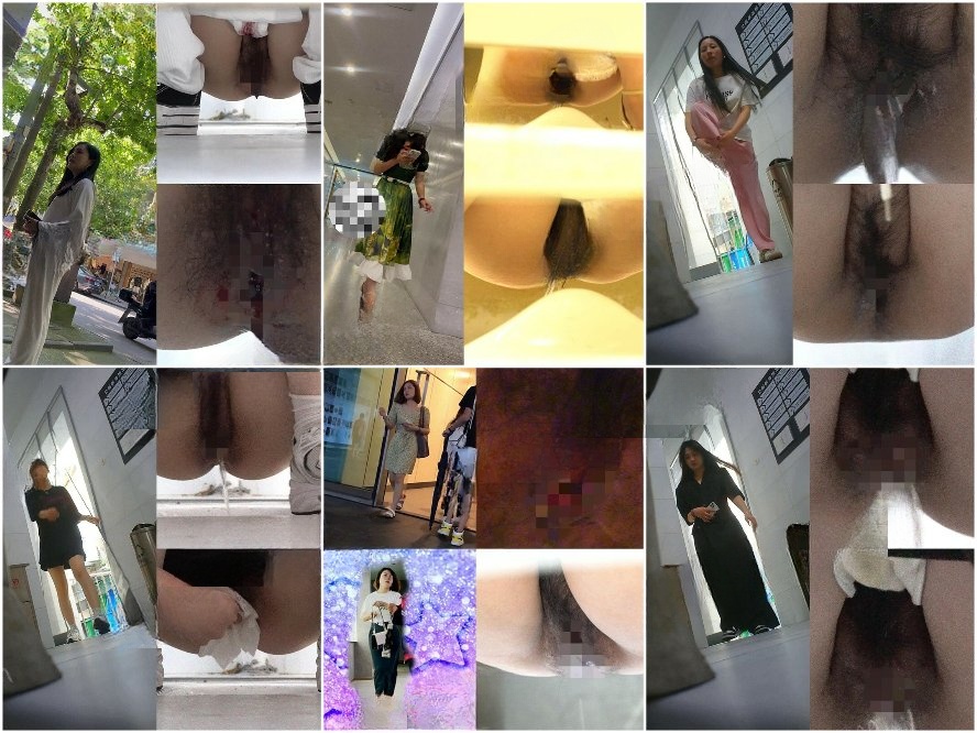 Girls on the Toilet 【新作流出】トイレ盗撮の達人による高画質映像。ショッピングモール、オフィスビル、ビリヤード場の女子トイレ…