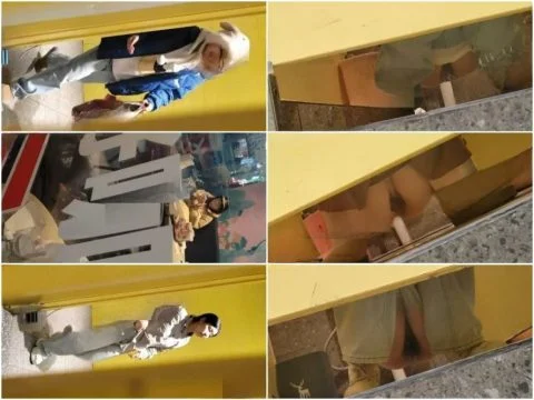 Hidden Camera トイレ盗撮の新作❤️猛者がカフェの女子トイレに突入し、そこそこ可愛い女性たちが用を足している様子を盗撮！