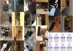 Girls on the Toilet ❤️クラシックなトイレ写真回顧展：「膣を見る」初のHD版