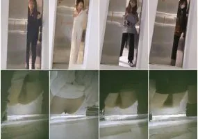 Hidden Camera オフィスビルのトイレで撮影された女性社員の隠し撮りパノラマ映像 ❤️